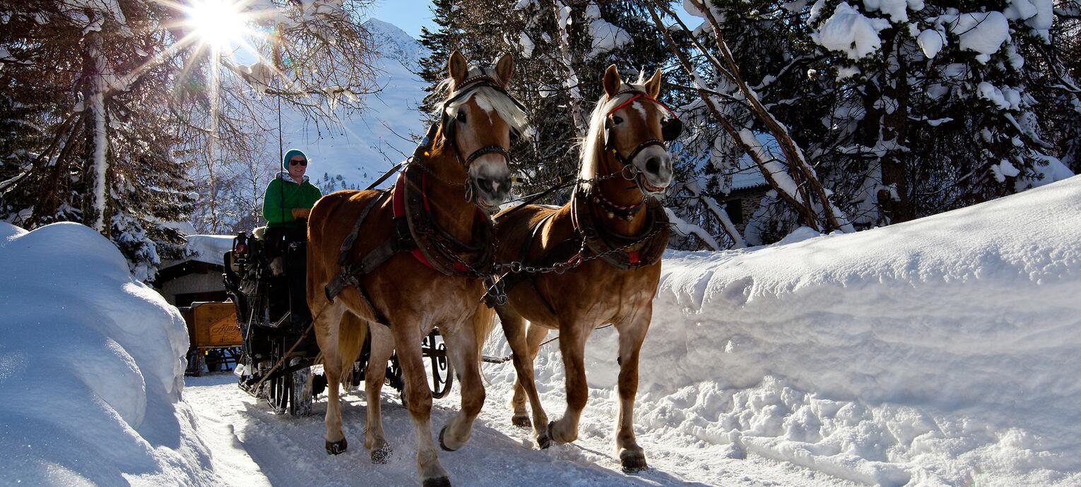 horse sleigh ride winter vacation Pitztal valley