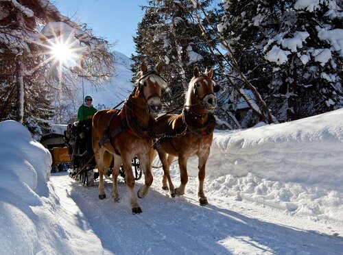 horse sleigh ride winter vacation Pitztal valley | © TVB Pitztal